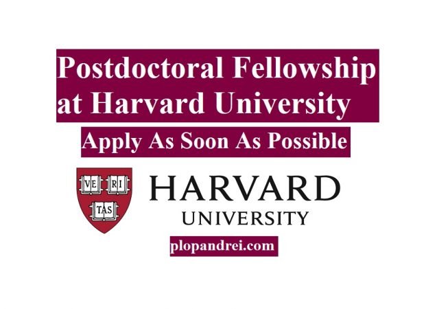 Postdoctoral Fellowship at Harvard University | Plop Andrei